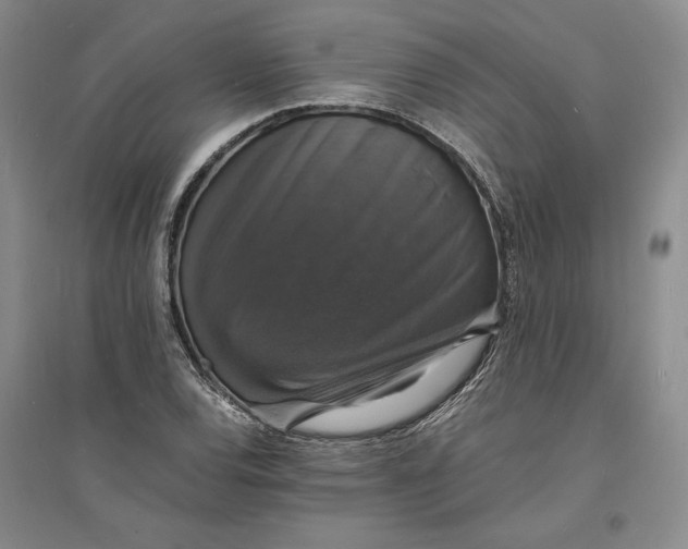 X0000094061120200711091122