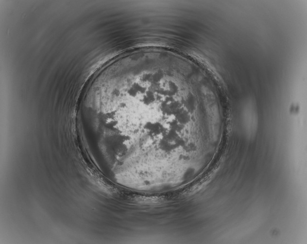 X0000094061121200711091122