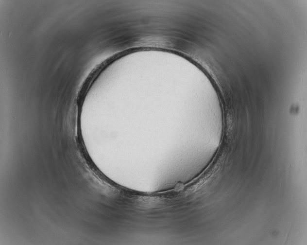 X0000094061123200711091122