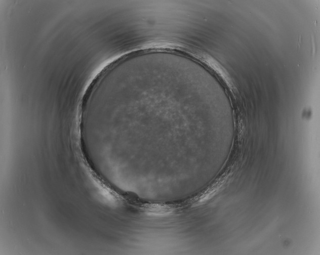 X0000094061124200711091122