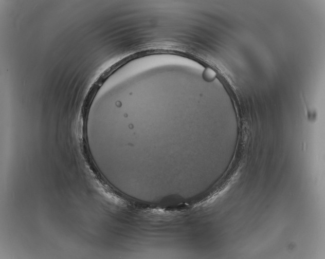 X0000094061125200711091122