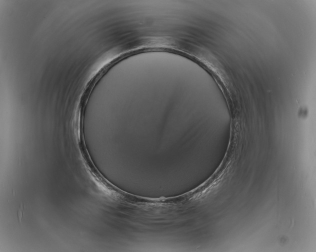 X0000094061127200711091122