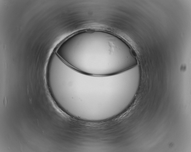 X0000094061128200711091122