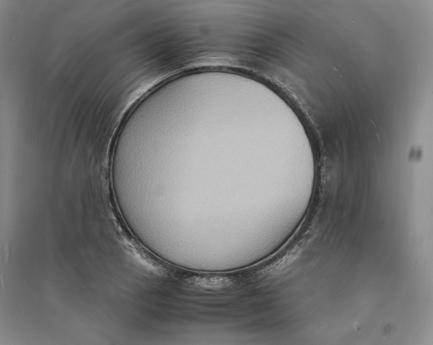 X0000094061129200711091122