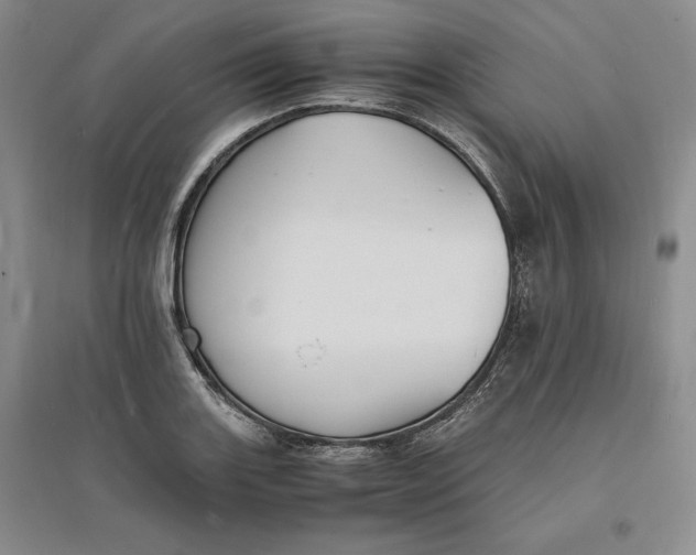 X0000094061131200711091122