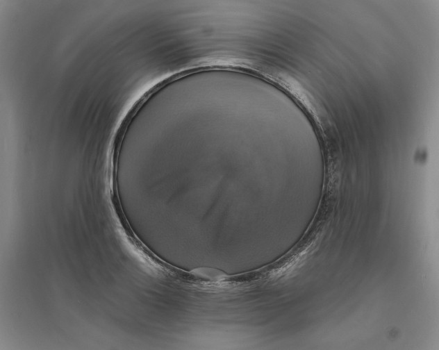 X0000094061132200711091122