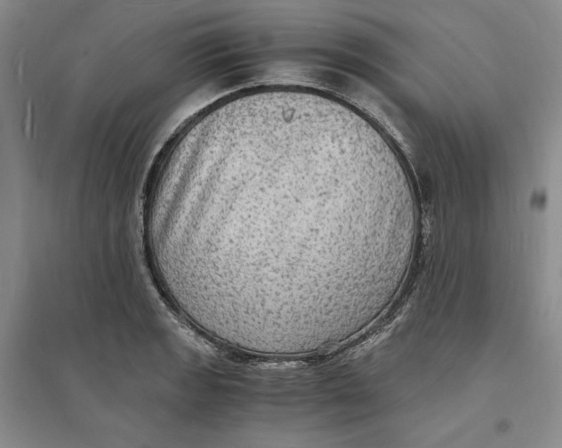 X0000094061133200711091122