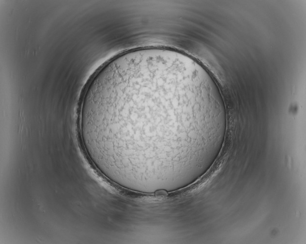 X0000094061134200711091122