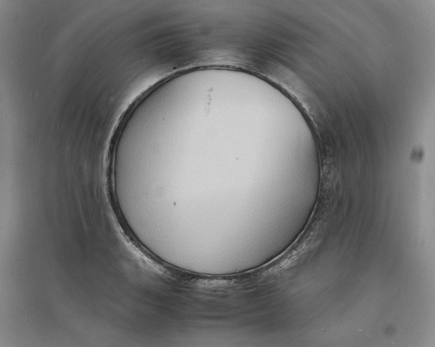 X0000094061135200711091122