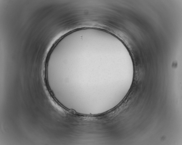 X0000094061136200711091122