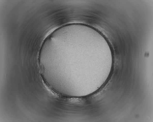 X0000094061137200711091122