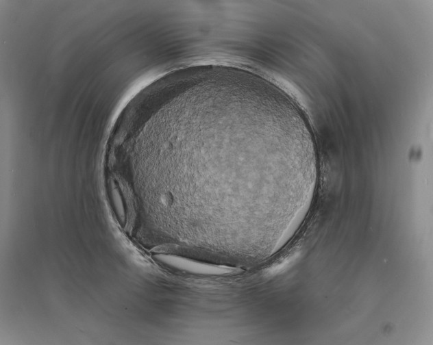 X0000094061138200711091122