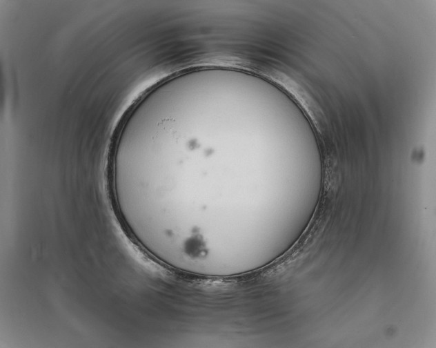 X0000094061139200711091122