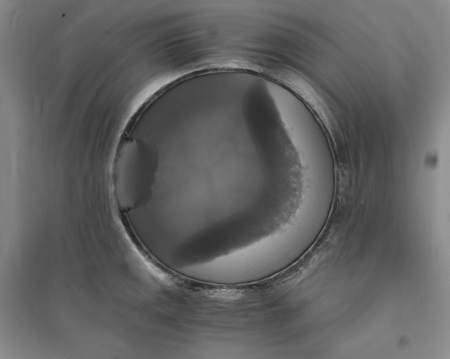 X0000094061141200711091122