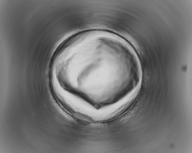 X0000094061142200711091122