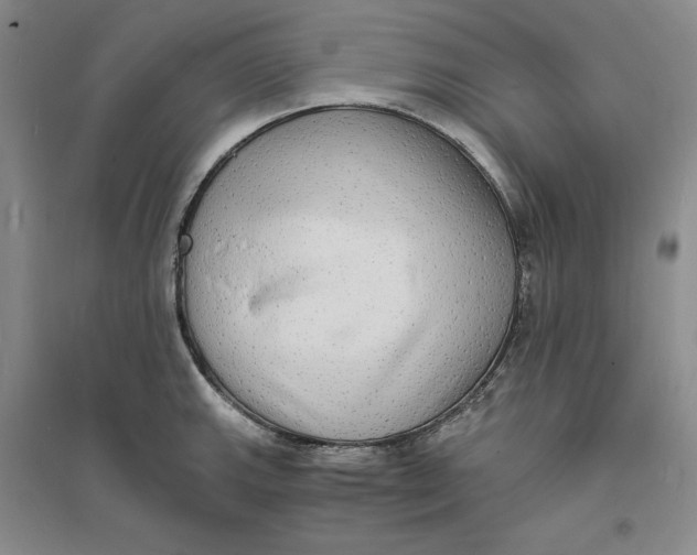 X0000094061143200711091122