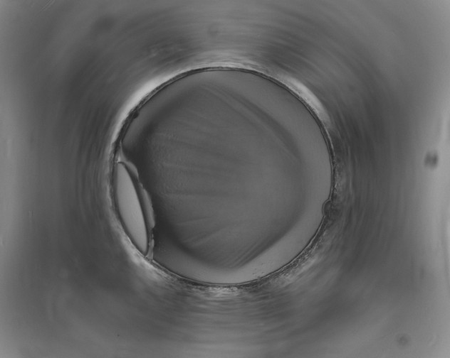 X0000094061144200711091122