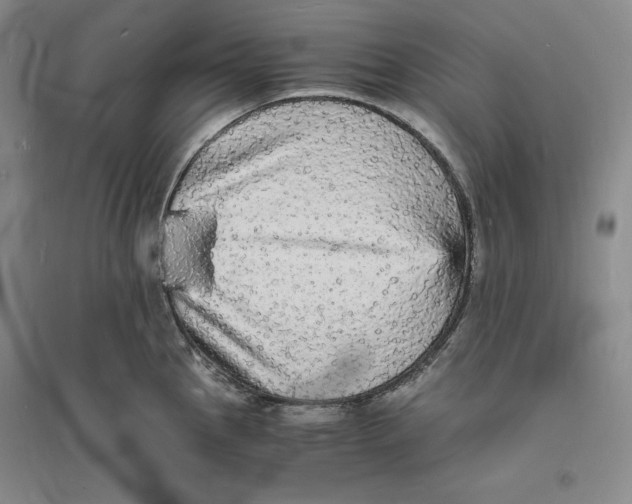 X0000094061145200711091122