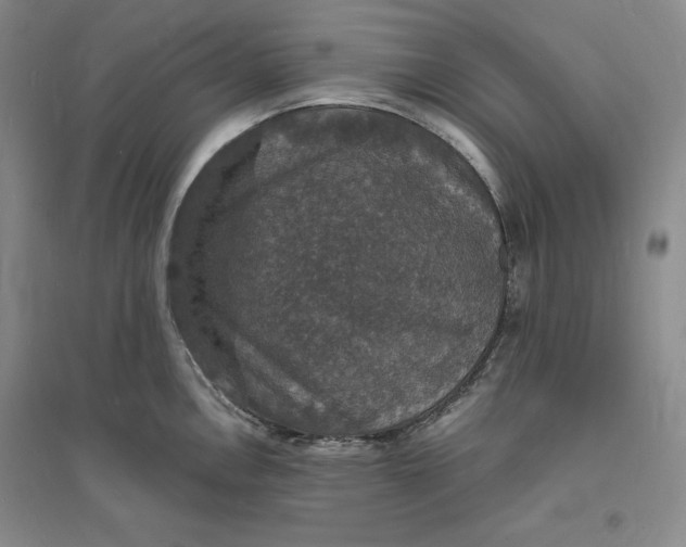 X0000094061146200711091122