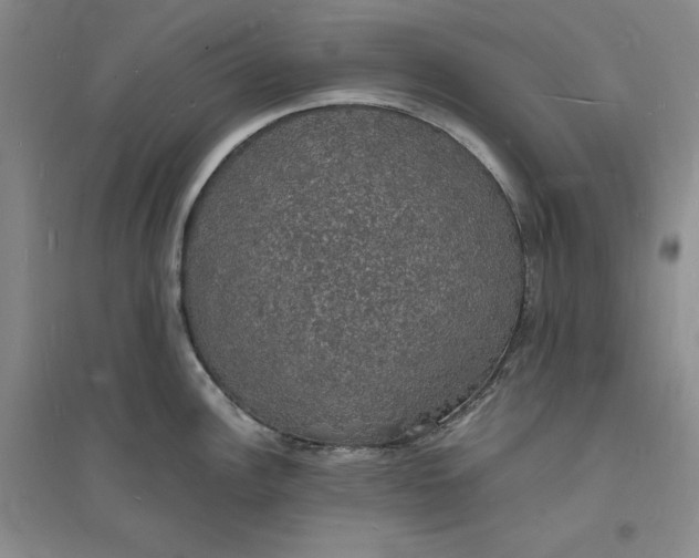 X0000094061148200711091122