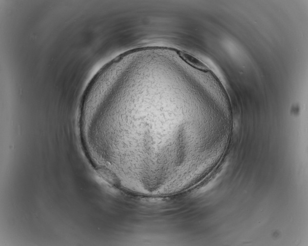 X0000094061149200711091122