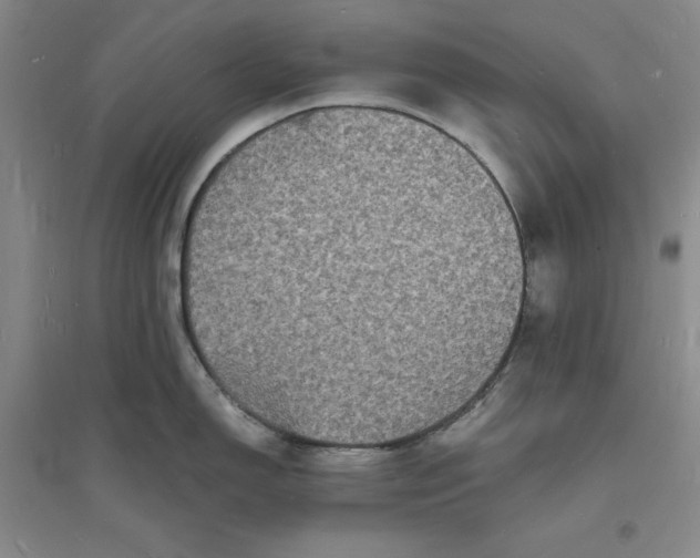 X0000094061150200711091122