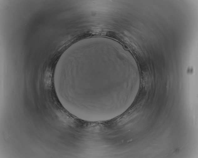 X0000094061154200711091122