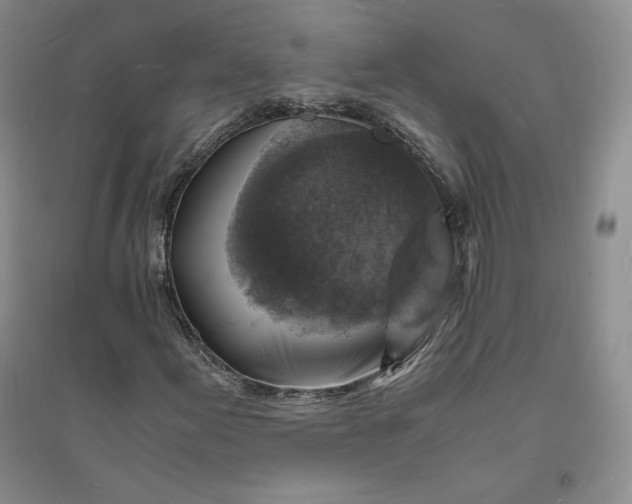 X0000094061155200711091122