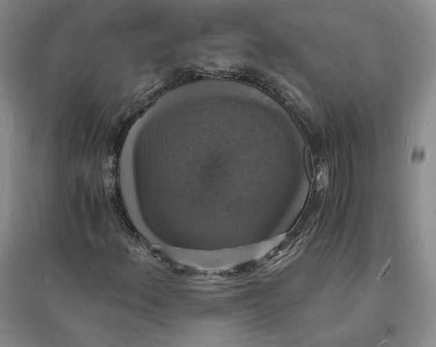 X0000094061156200711091122