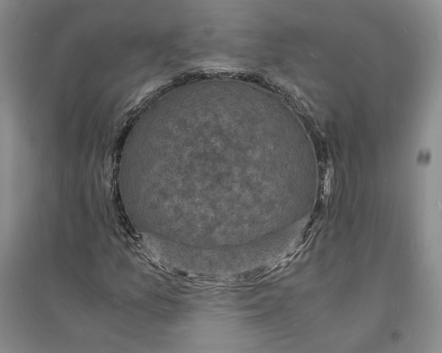 X0000094061157200711091122