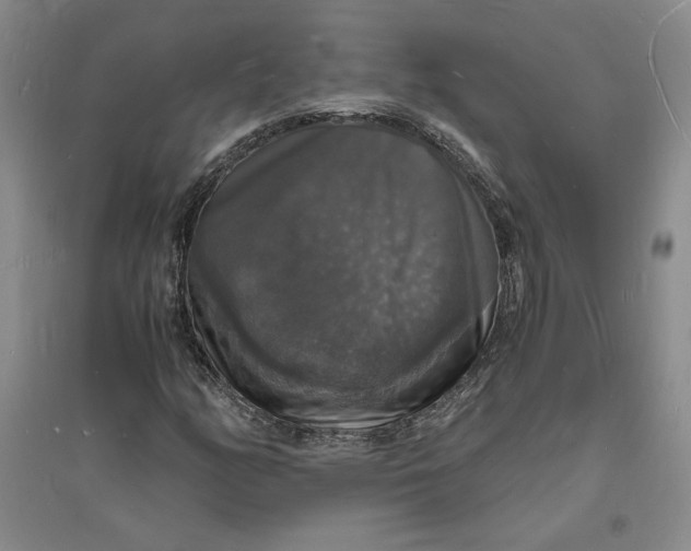 X0000094061158200711091122