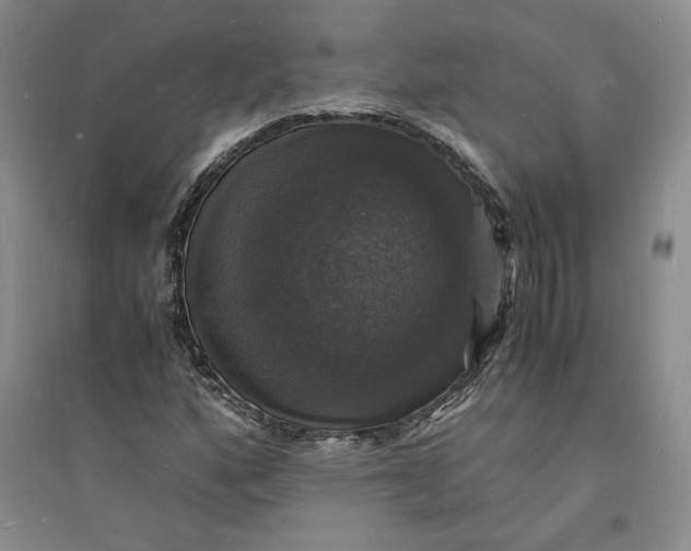 X0000094061160200711091122