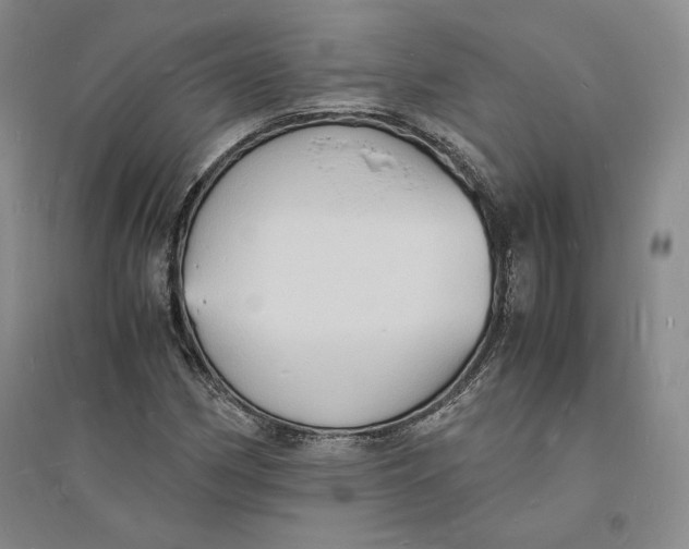 X0000094061162200711091121