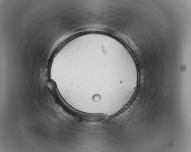 X0000094061164200711091121