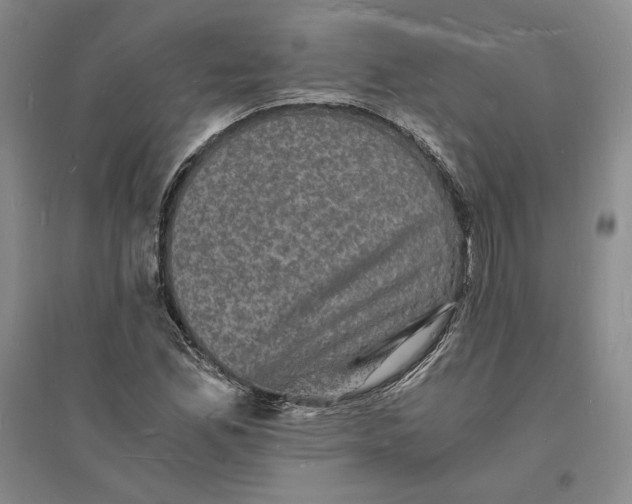 X0000094061165200711091121