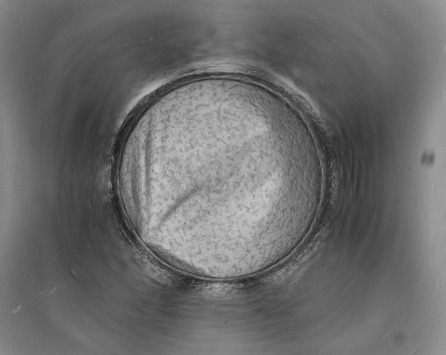 X0000094061166200711091121