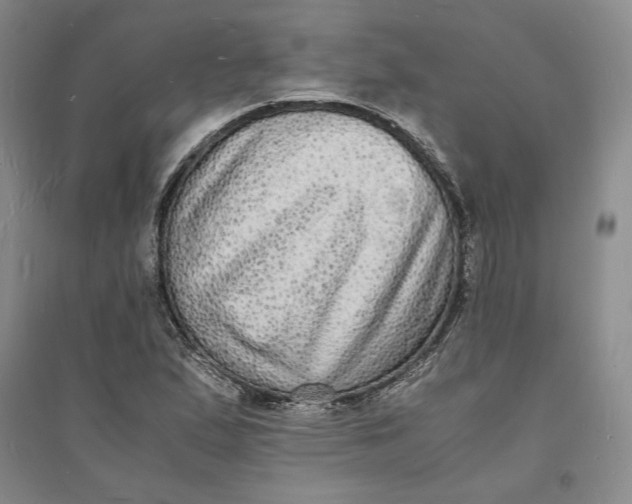 X0000094061167200711091121