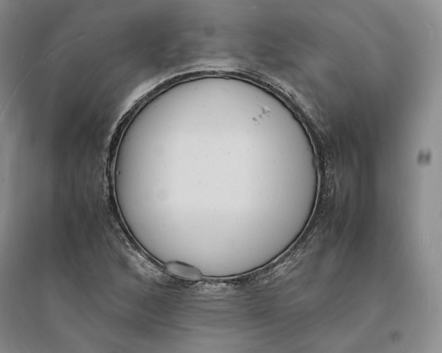 X0000094061168200711091121