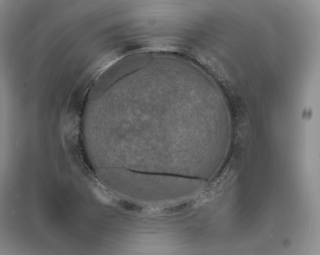 X0000094061169200711091121