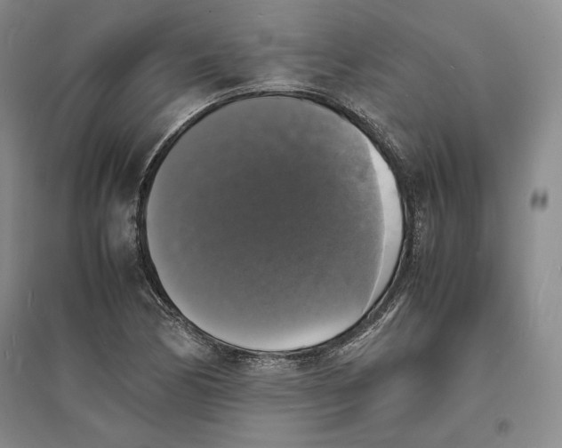 X0000094061170200711091121