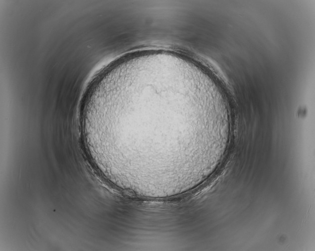 X0000094061172200711091121