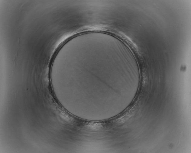 X0000094061174200711091121