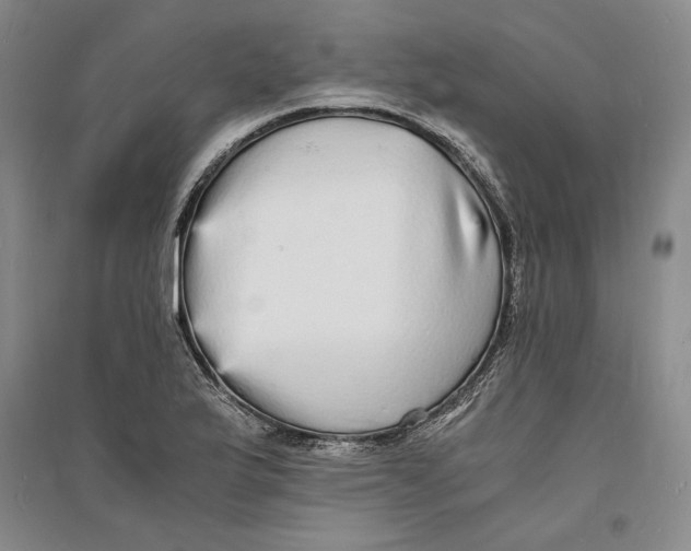 X0000094061175200711091121