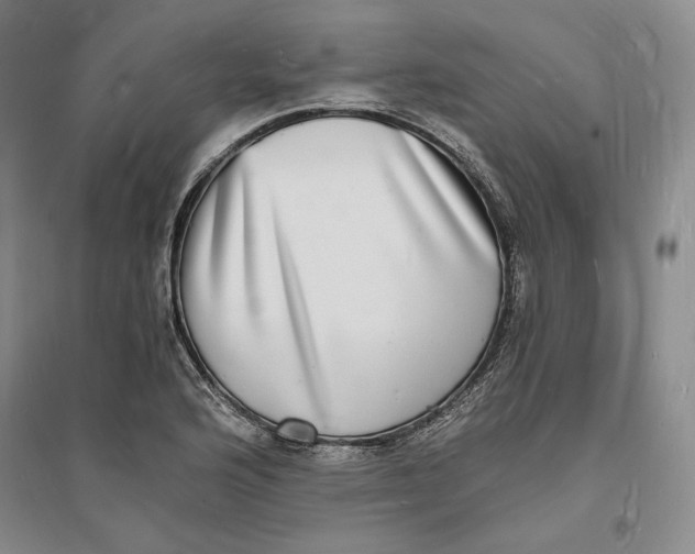 X0000094061176200711091121