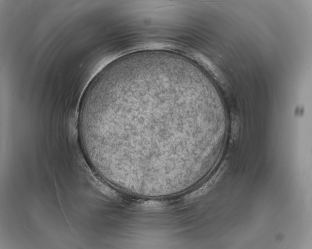 X0000094061178200711091121