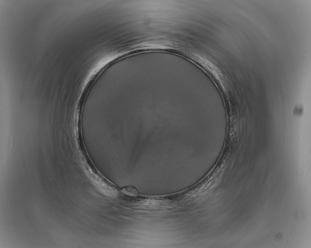 X0000094061179200711091121