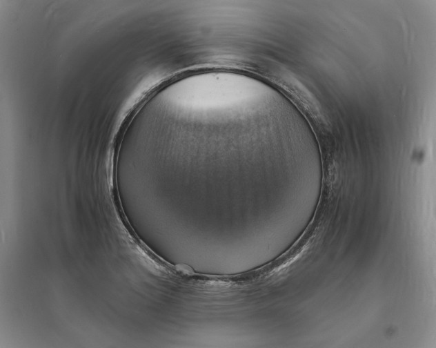 X0000094061180200711091121
