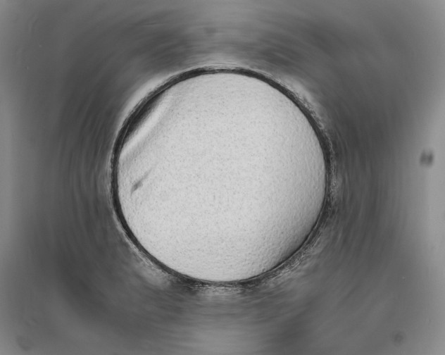 X0000094061183200711091121
