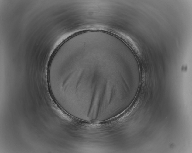 X0000094061184200711091121
