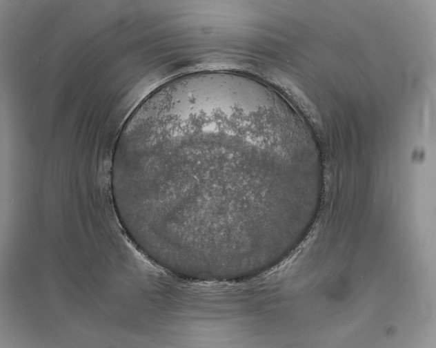 X0000094061185200711091121
